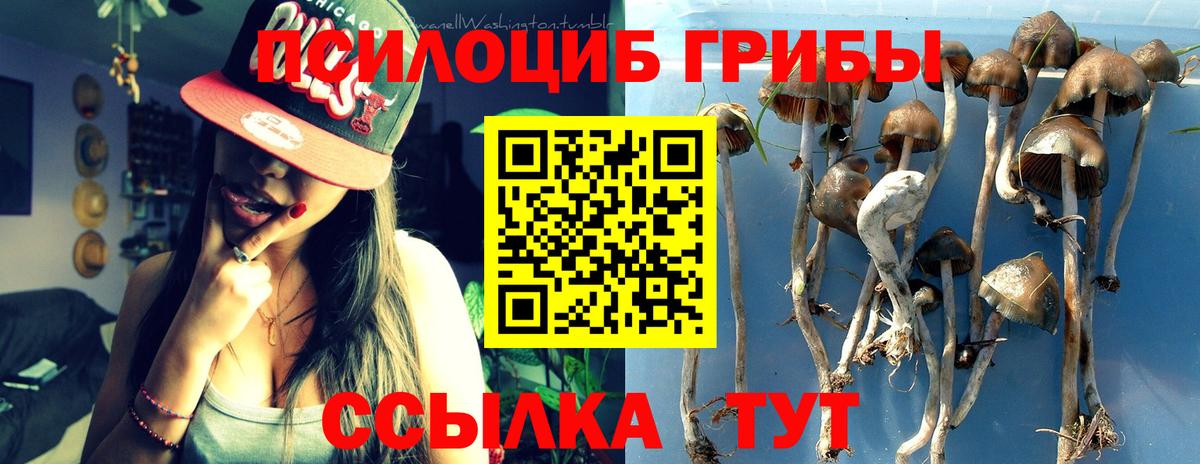 Домодедово  Псилоцибиновые грибы MAGIC MUSHROOMS  Вход с VPN 